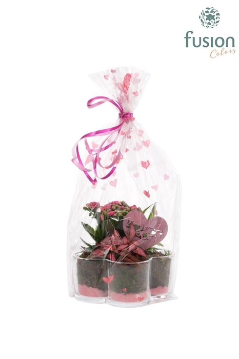 <h4>Glazen Bloemschaalmet Arrangement</h4>