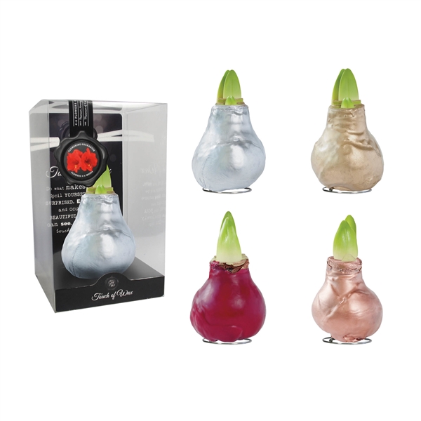 <h4>Amaryllis TOW Gloss Mixed 12x1, rode bloem, kunstof</h4>