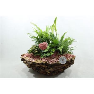 SC12 PINK BOAT DRIFTWOOD