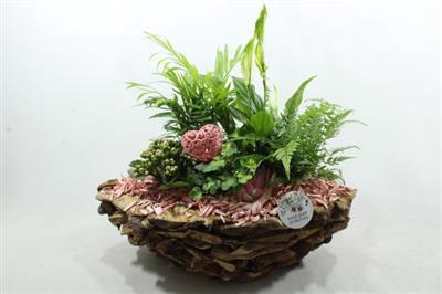 <h4>SC12 PINK BOAT DRIFTWOOD</h4>