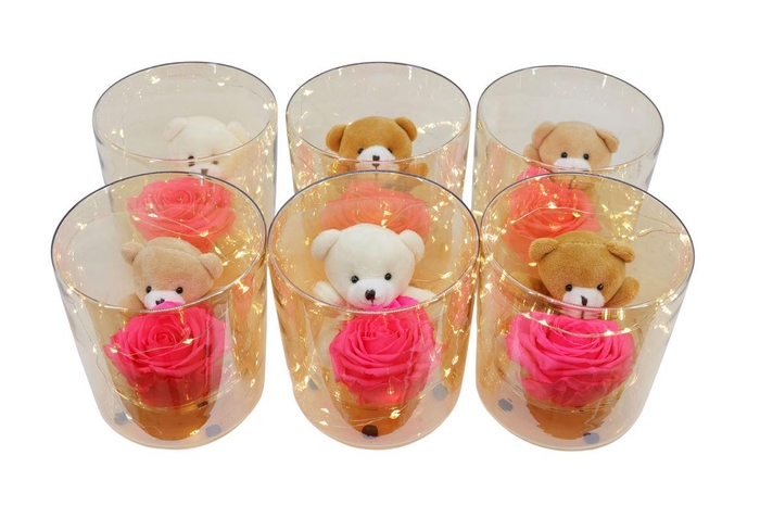 <h4>Arrangementen Potroos H%</h4>