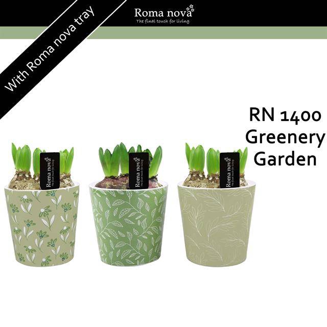 <h4>arr4 Hyacint RN - Greenery garden</h4>