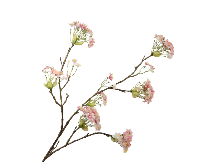 <h4>Prunus Blossom Pink Light Extra</h4>