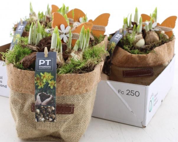 <h4>ARR N TETE A TETE</h4>