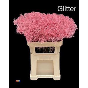 Gyps Million Star Pink + Glit Bio