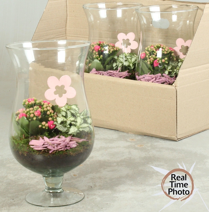 <h4>ARR KAMERPL</h4>