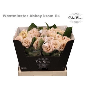 R GR WMINSTER ABBEY! KROM B1