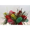 Banksia Spec. Mixed Colours