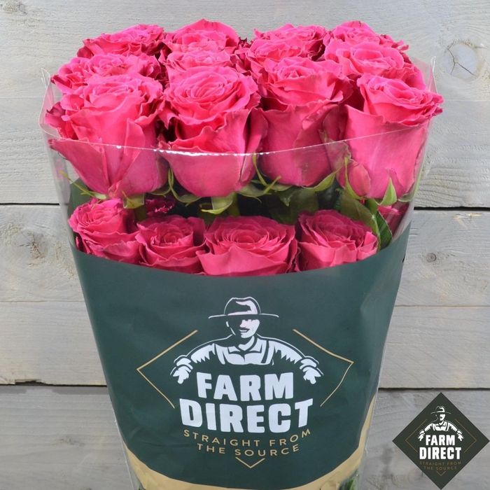 <h4>R GR FULL MONTY</h4>