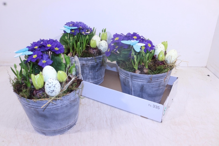 <h4>ARR TUINPLANTEN</h4>