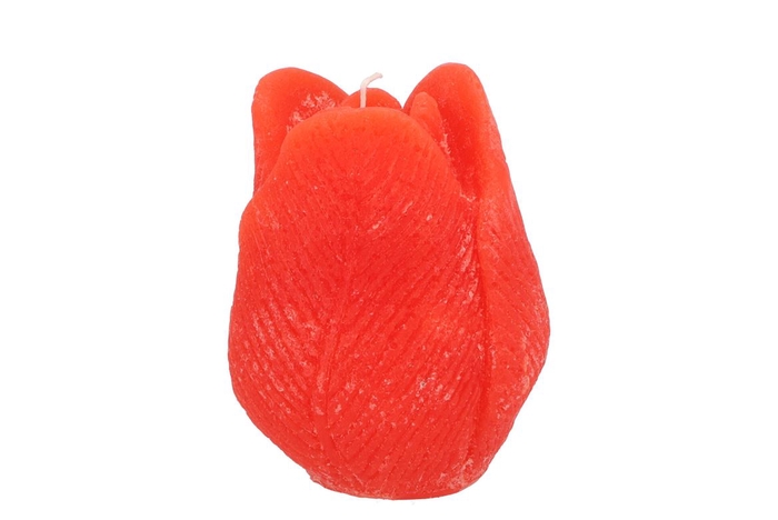 <h4>Candle Tulip Orange 9x11cm</h4>