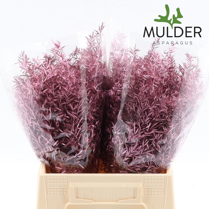 <h4>Asp Klb H% Cwebe Rose-gold</h4>