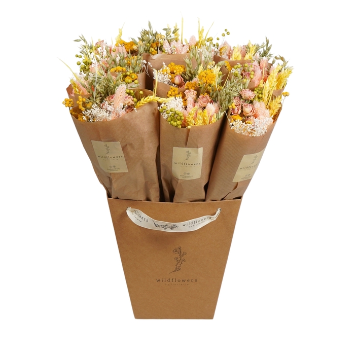 <h4>Dried Bouquet Pink Lemonade</h4>