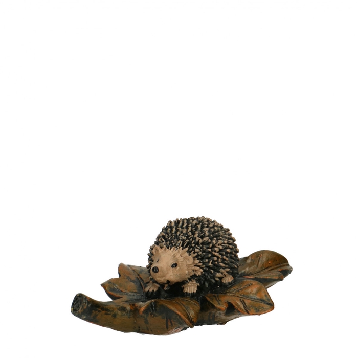 <h4>Herfst Egel+blad 10*7*4cm</h4>