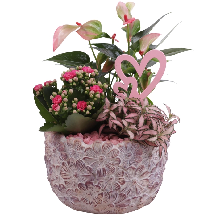 <h4>Mothersday Arr. Indoor Ceramic Pot with Flower Deco Ø18cm 3PP</h4>