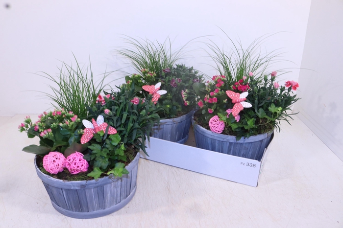 <h4>ARR TUINPLANTEN</h4>