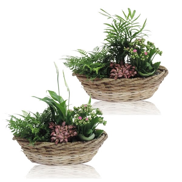 <h4>Collectie Lenn Arrangement in Mand 36 cm Kano</h4>