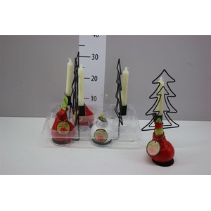 Hippeastrum Wax Red White And Candle