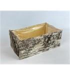 <h4>POT BIRCH 24*14*9</h4>