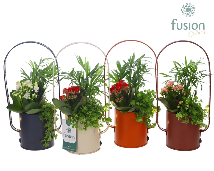 <h4>LED planter zink boog met arrangement</h4>