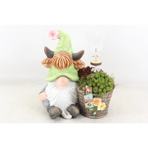 arr4 Semp JS - Kabouter groen muts met mand