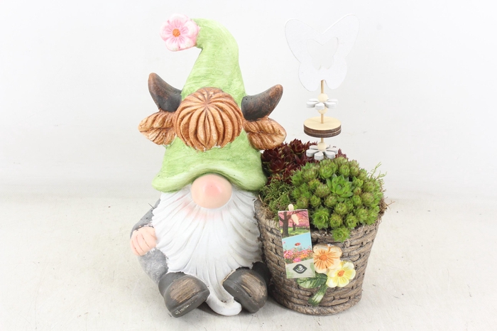 <h4>arr4 Semp JS - Kabouter groen muts met mand</h4>