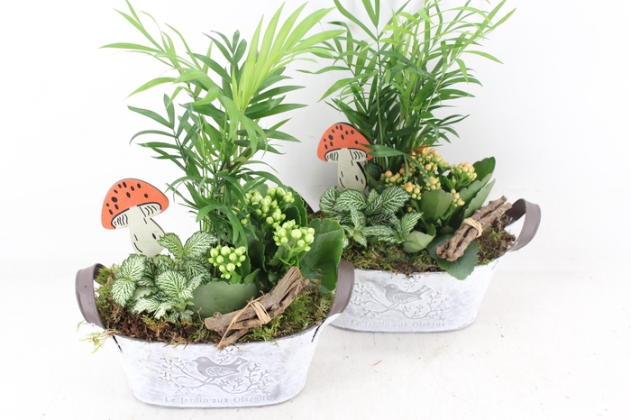 <h4>arr2 TD - Zink ovaal jardin - oranje/wit</h4>