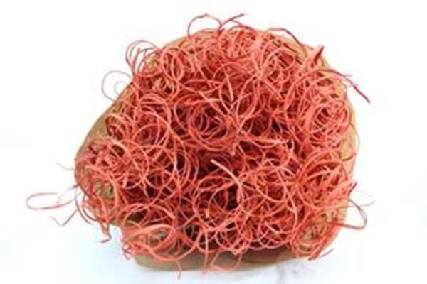 <h4>Droog Tin Tin Oranje Zndglx400</h4>