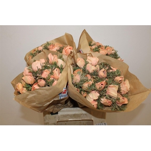 Anem Marianne Powder Orange