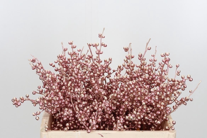 <h4>Ilex Kl Bh Rose Goud</h4>