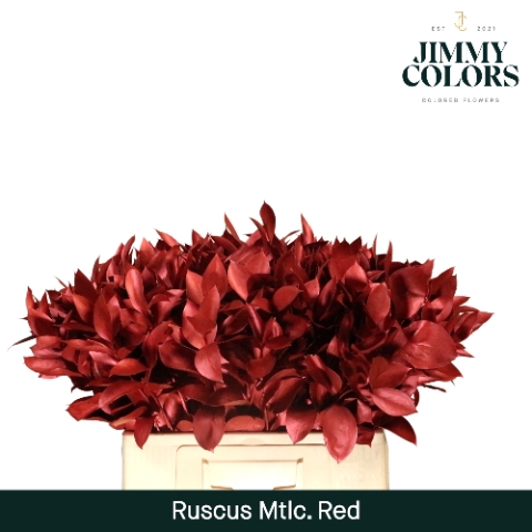 Ruscus L60 Mtlc. Rood
