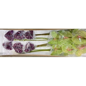 Anth A Mix Green Purple 13 cm X12 Spek