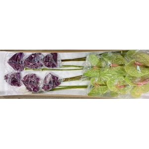 Anth A Mix Green Purple 11 cm X16 Spekflowers