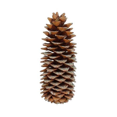 <h4>DECO PINECONE SUGARPINE SENTED PINE</h4>