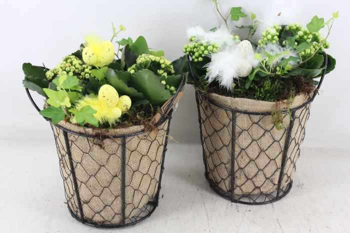 <h4>arr2 TD - Gaasmand jute - geel/wit</h4>