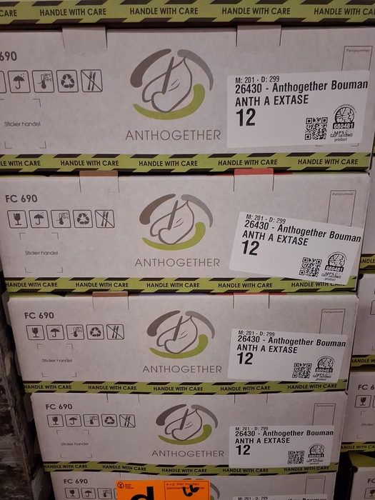 <h4>Anth A Extase</h4>