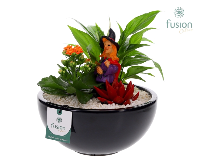 <h4>Halloween keramieken schaal rond zwart D23</h4>