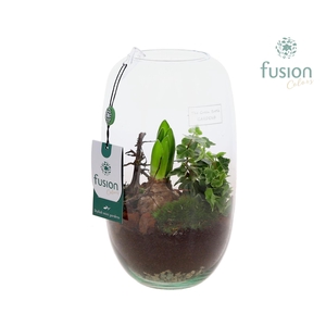 Green Bottle Isabella Medium met arrangement