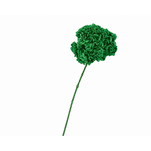 Dried Bleached Hydrangea Green
