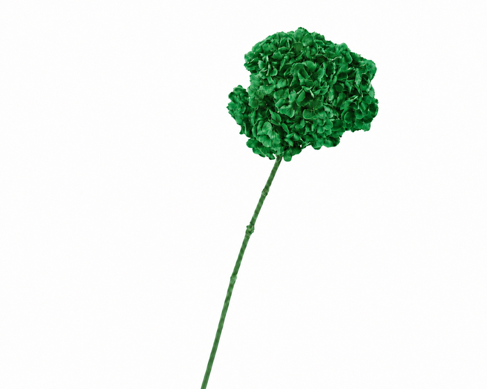 <h4>Dried Bleached Hydrangea Green</h4>