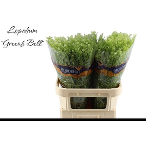 Lep Ru Green Bell