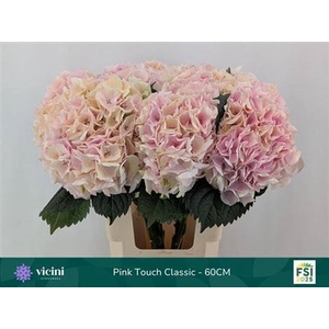 Hydr M My Pink Touch Cl