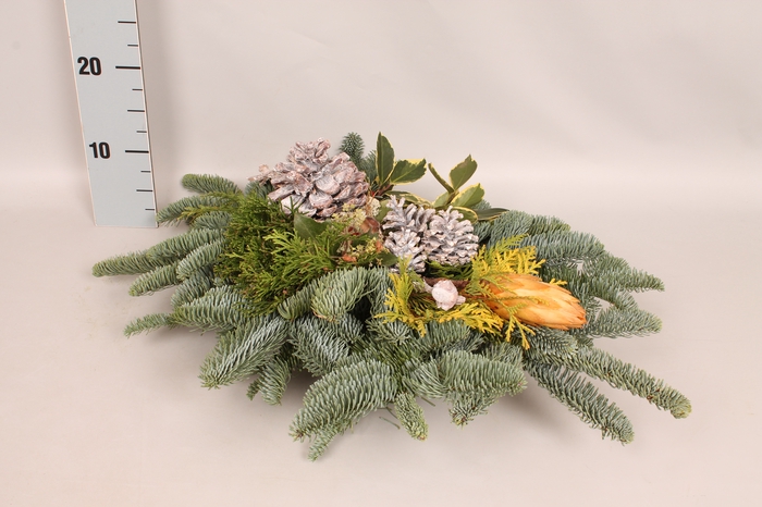 Natuur tak Gold/White 60/40T