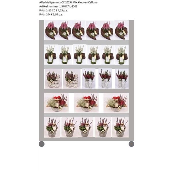 <h4>Mix CC Allerheiligen</h4>