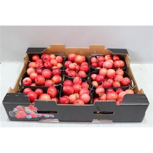Malus Overig