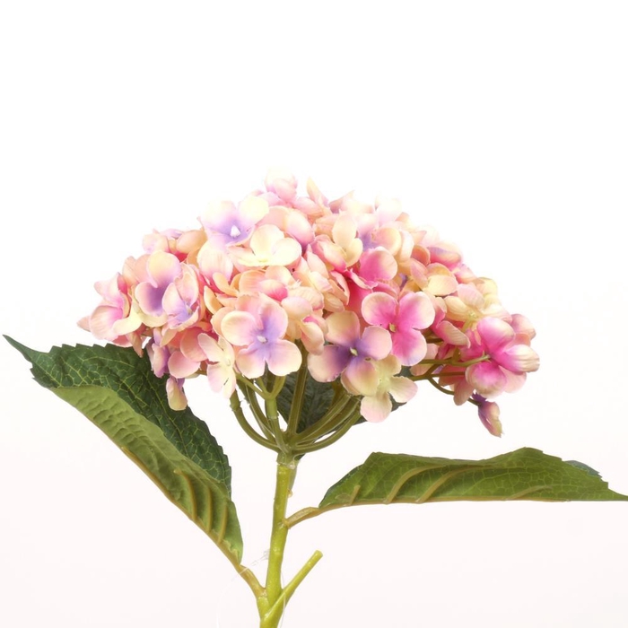 <h4>AF Hydrangea L50cm d.pink</h4>
