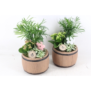 arr2 PL - Ker. barrel - roze/wit