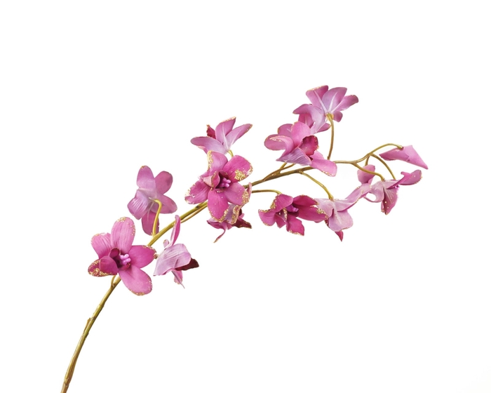 <h4>Dendrobium Pink Velvet Diamond</h4>