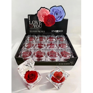 !! PROMO !! R PRESERVED DIAMANT ROOD