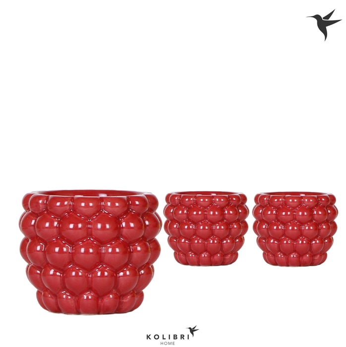 <h4>Kolibri Home Berry pot</h4>